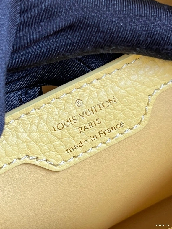 VUITTON MM CAPUCINES LOUIS 0211